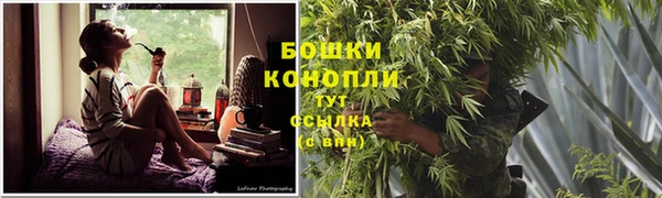 бошки Елизово