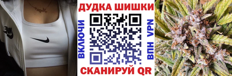 Каннабис сатива Канаш